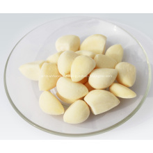 Best Price IQF Peeled Garlic White Pure